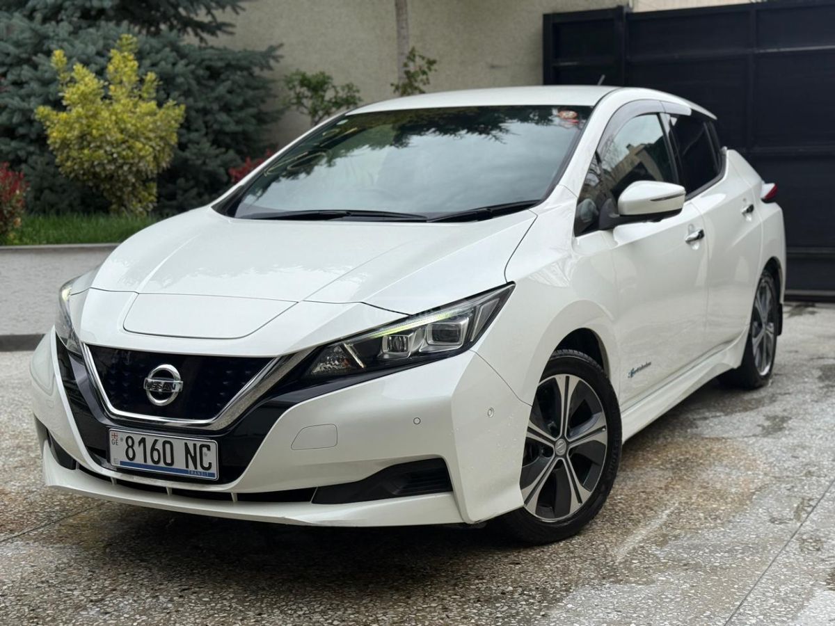 Nissan Leaf - фото 1