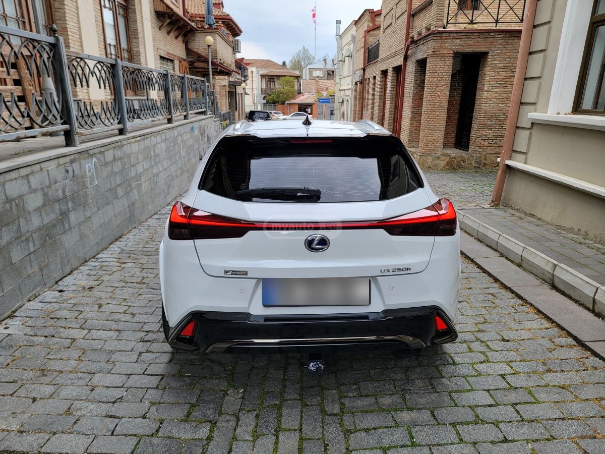 Lexus UX 250 h - фото 11