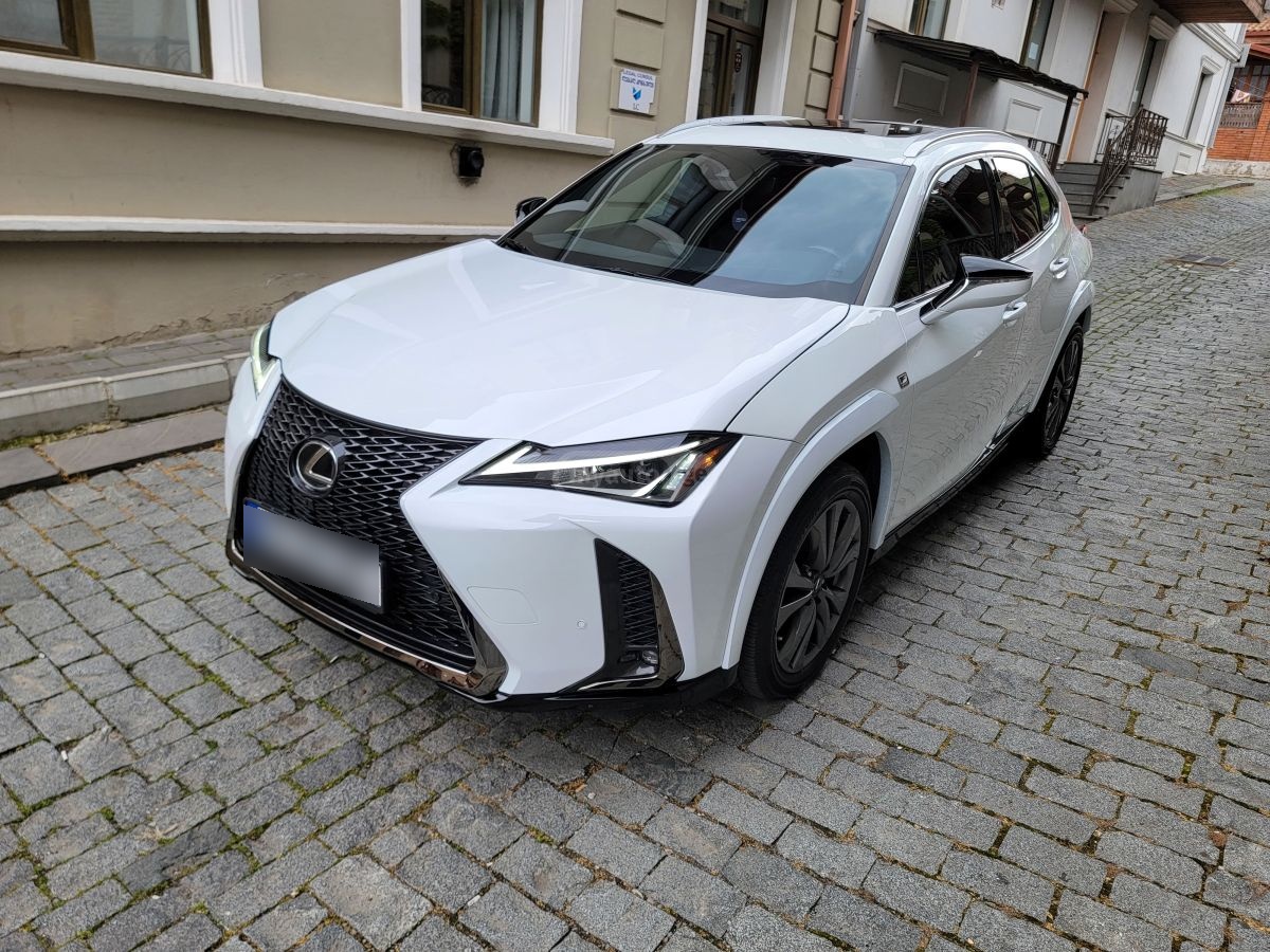 Lexus UX 250 h - фото 8