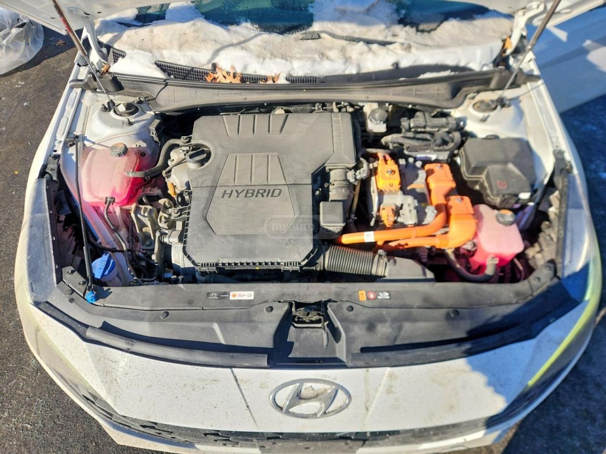 Hyundai Elantra - фото 11