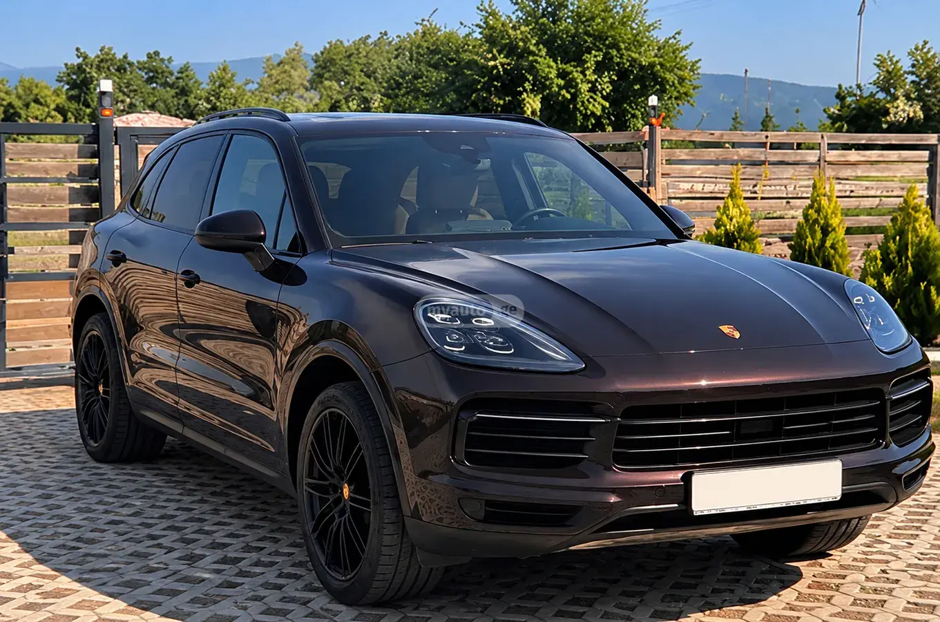 Porsche Cayenne, 2019 — фото 2