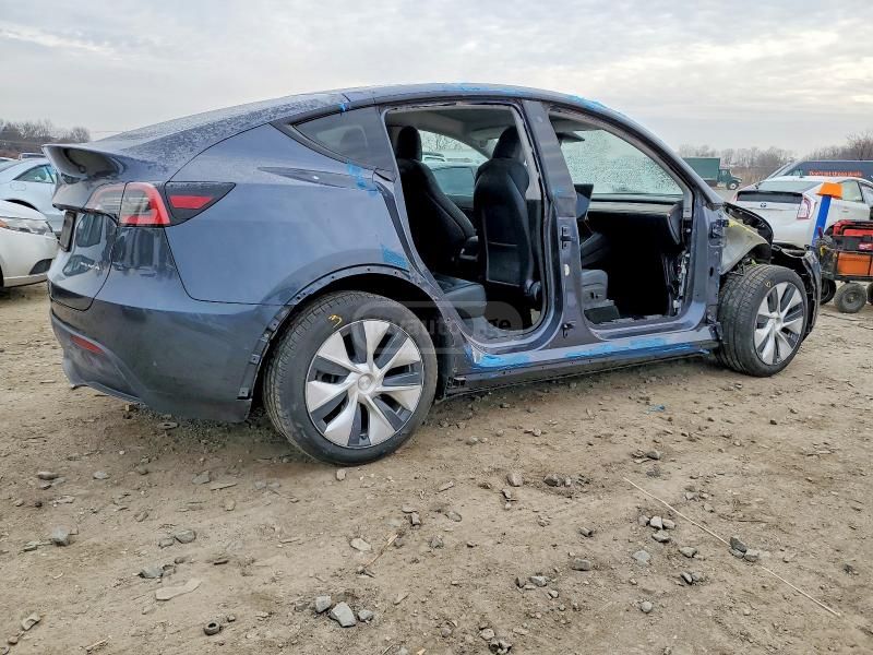 Tesla Model Y - фото 1