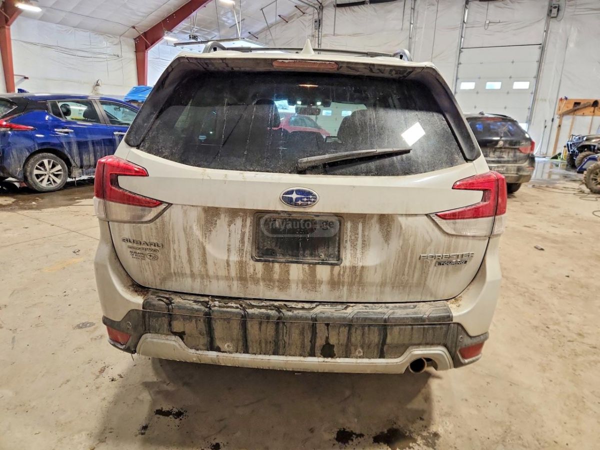 Subaru Forester - фото 6