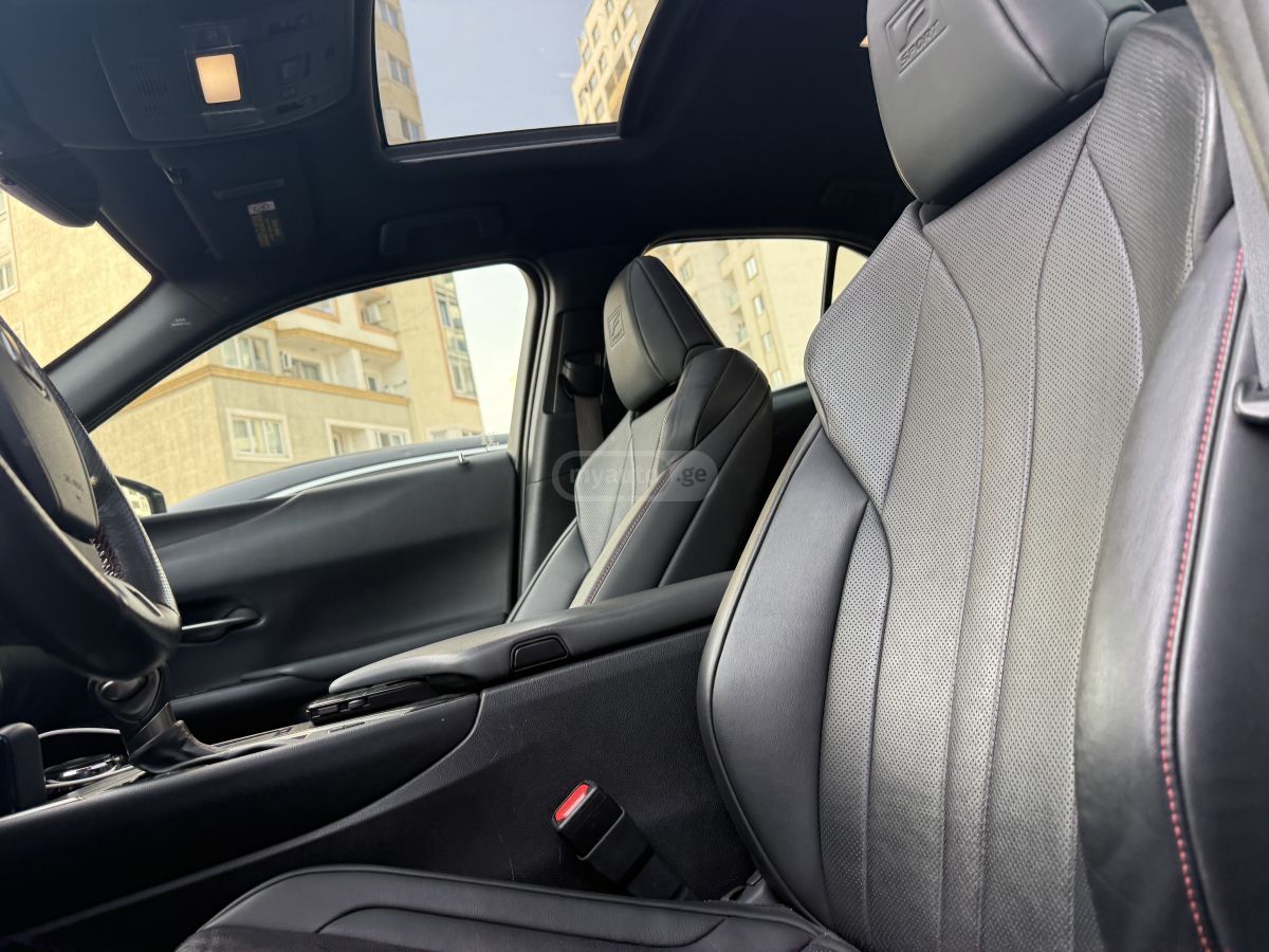 Lexus UX 250 h - фото 10