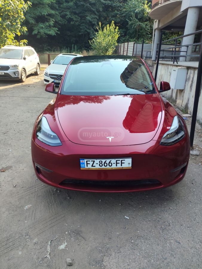 Tesla Model Y - фото 1