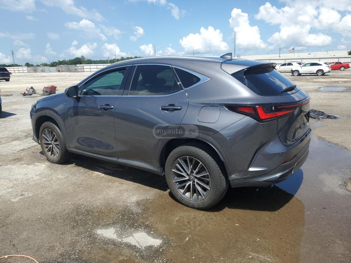 Lexus Base 4dr Front-Wheel Drive Aut — миниатюра 2