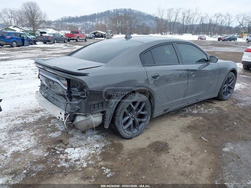 Dodge Charger 2023 — миниатюра 4