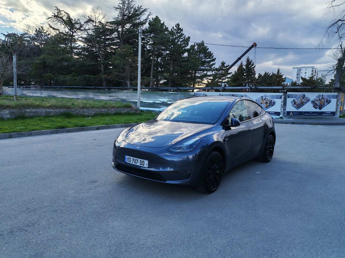 Tesla Model Y - фото 1