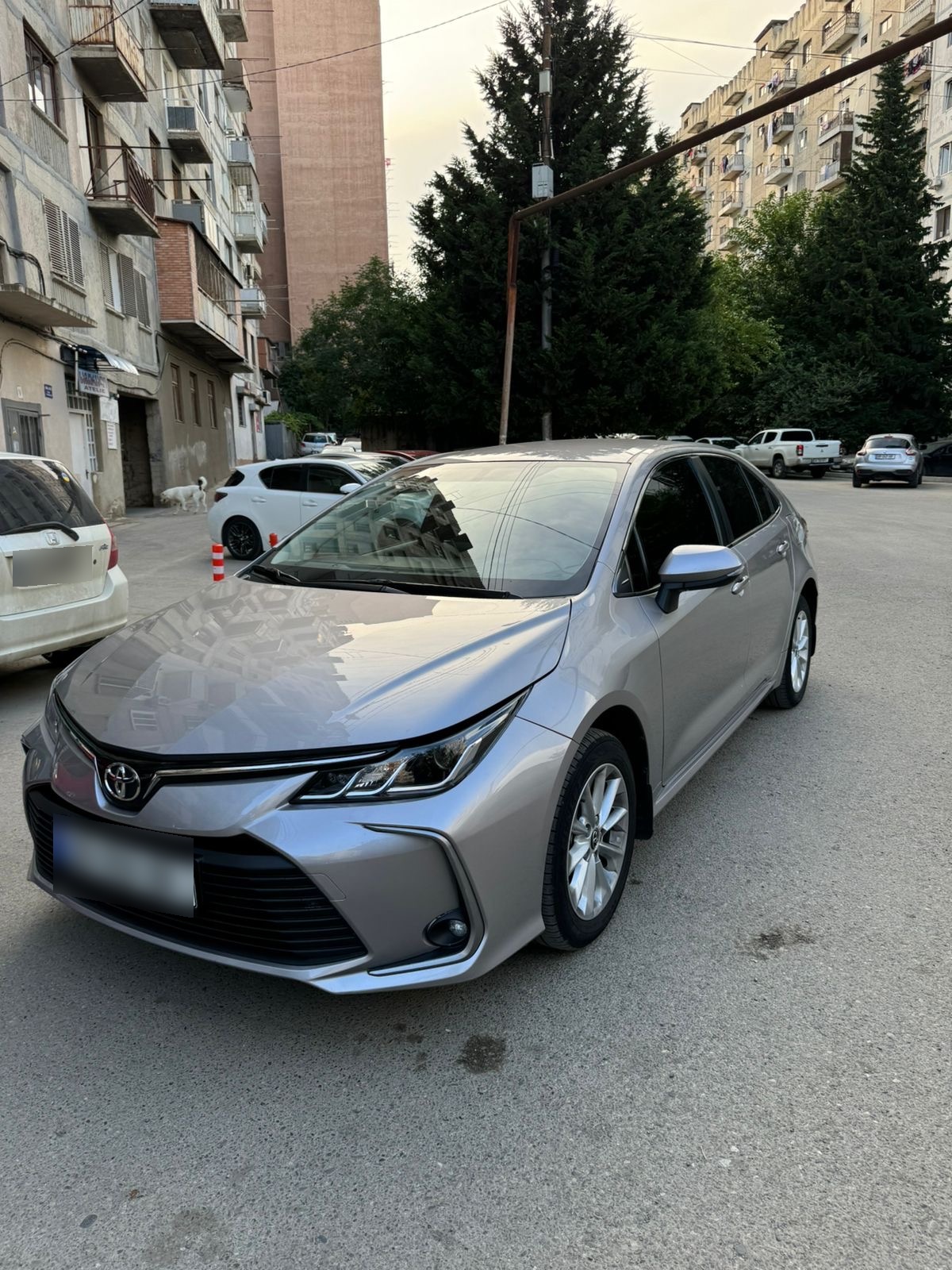 Toyota Corolla - фото 1