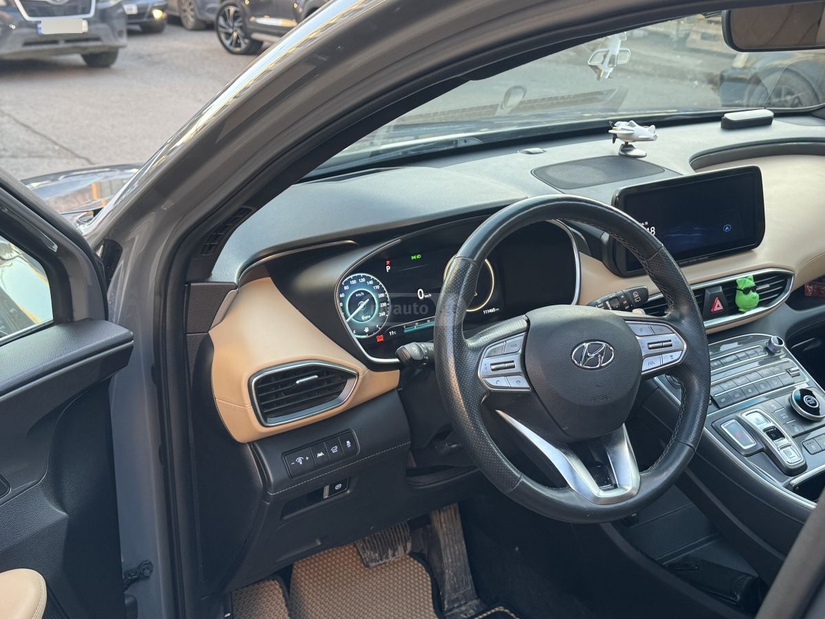 Hyundai Santa FE - фото 11