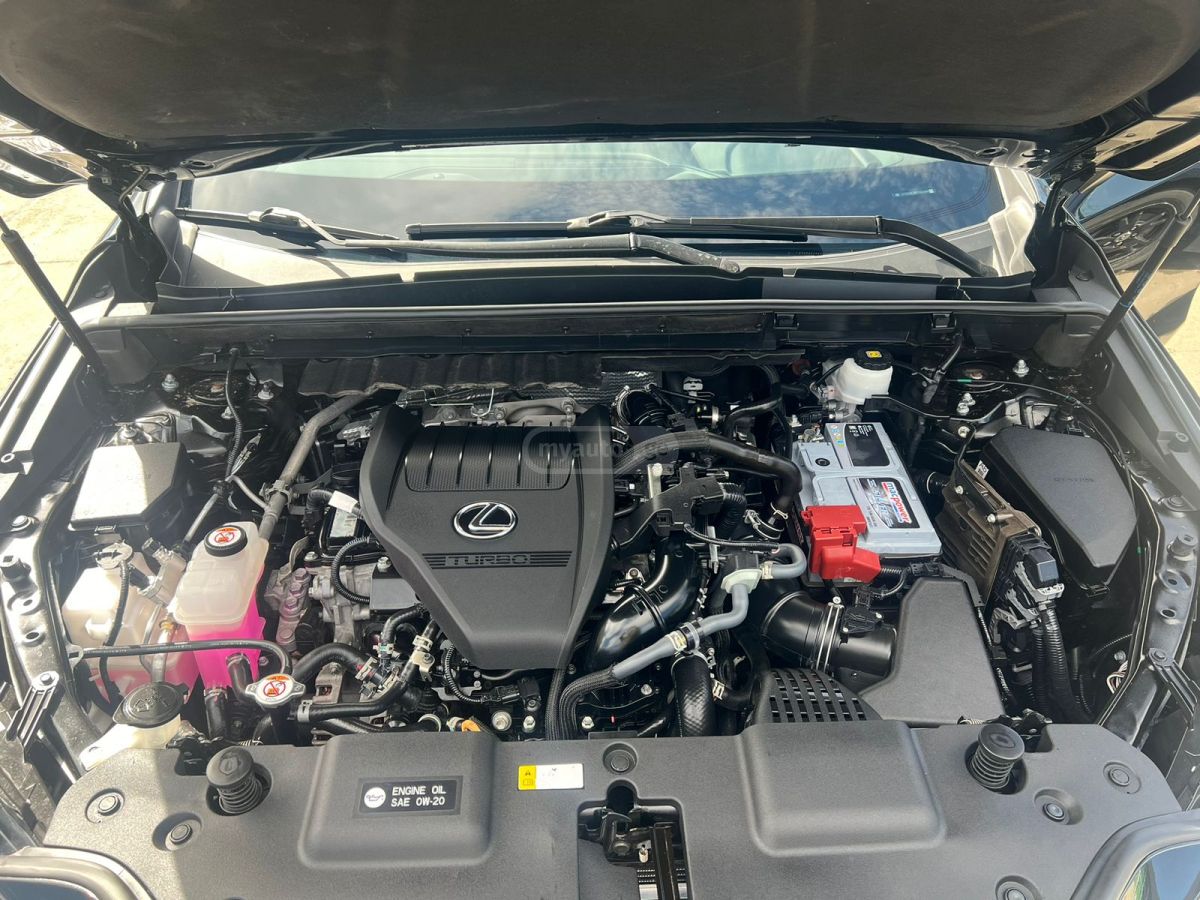 Lexus NX 350 - фото 9