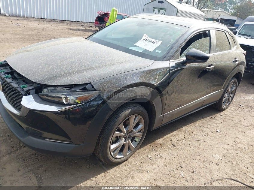 Mazda CX-3 2025 — миниатюра 2