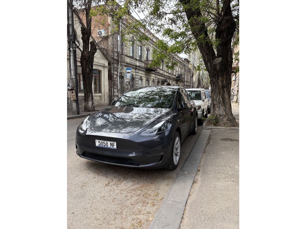 Tesla Model Y - фото 1