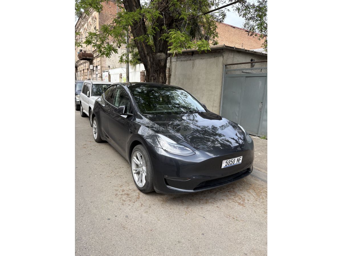 Tesla Model Y - фото 3