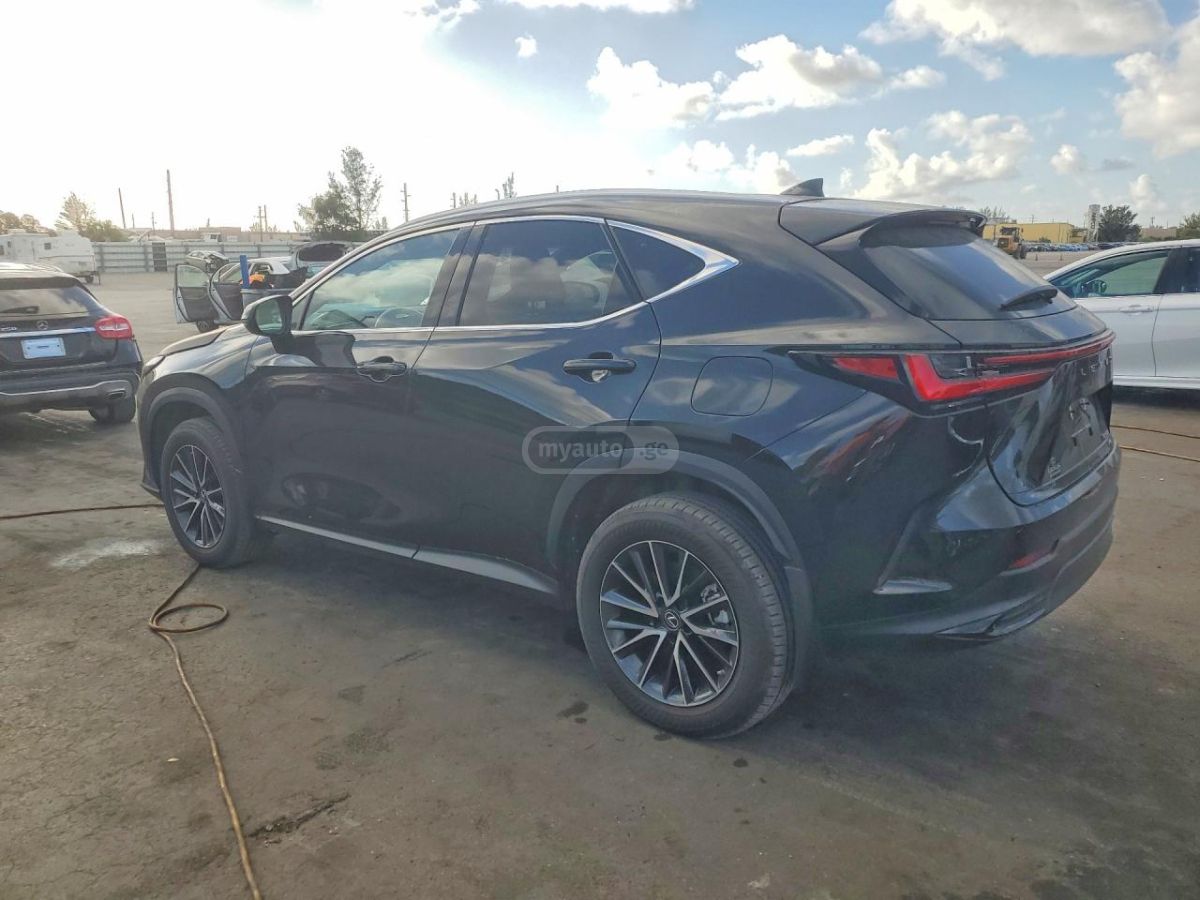 Lexus NX 200 2023 — миниатюра 2