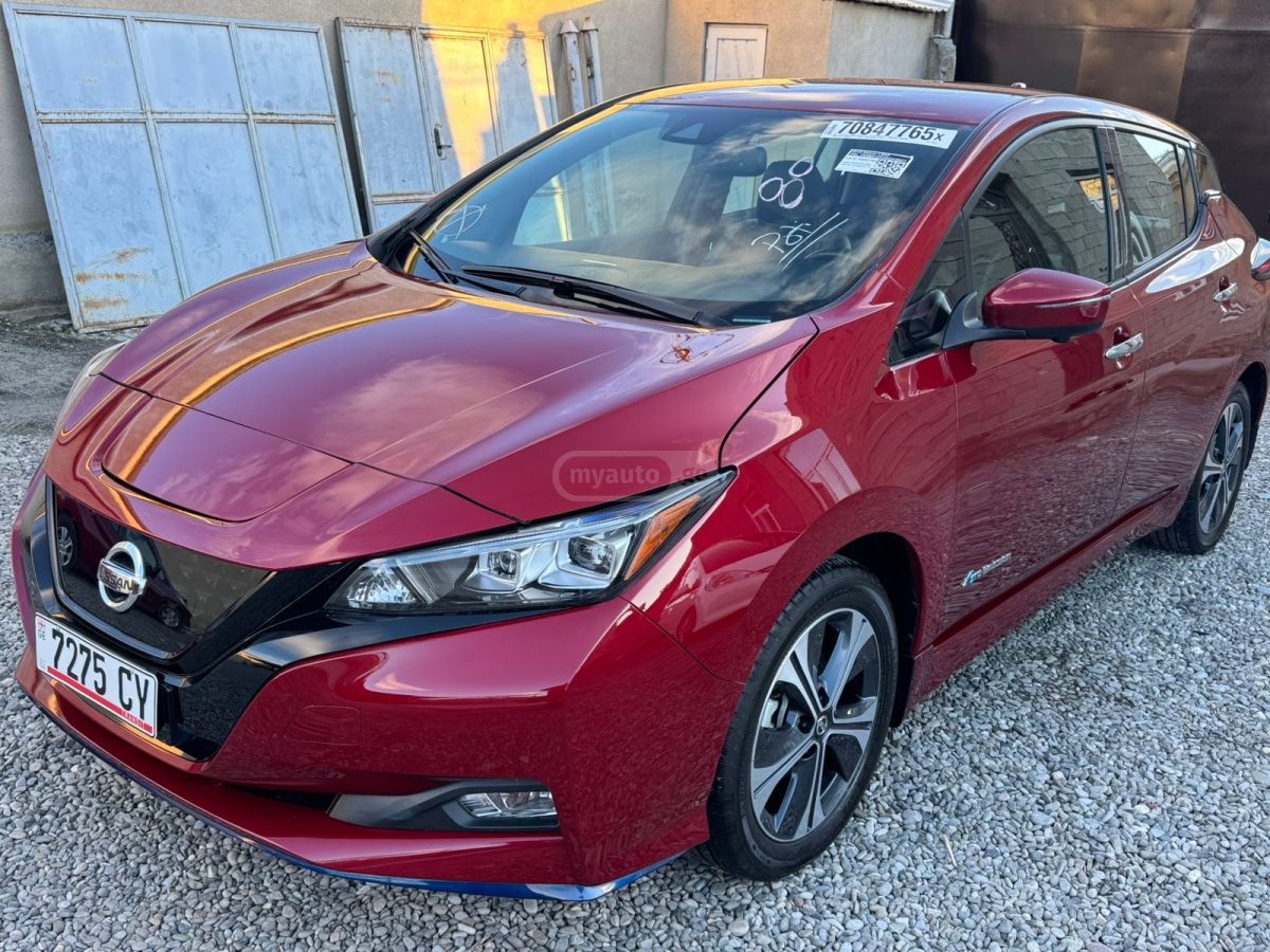 Nissan Leaf - фото 1