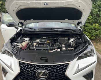 LexusNX 300