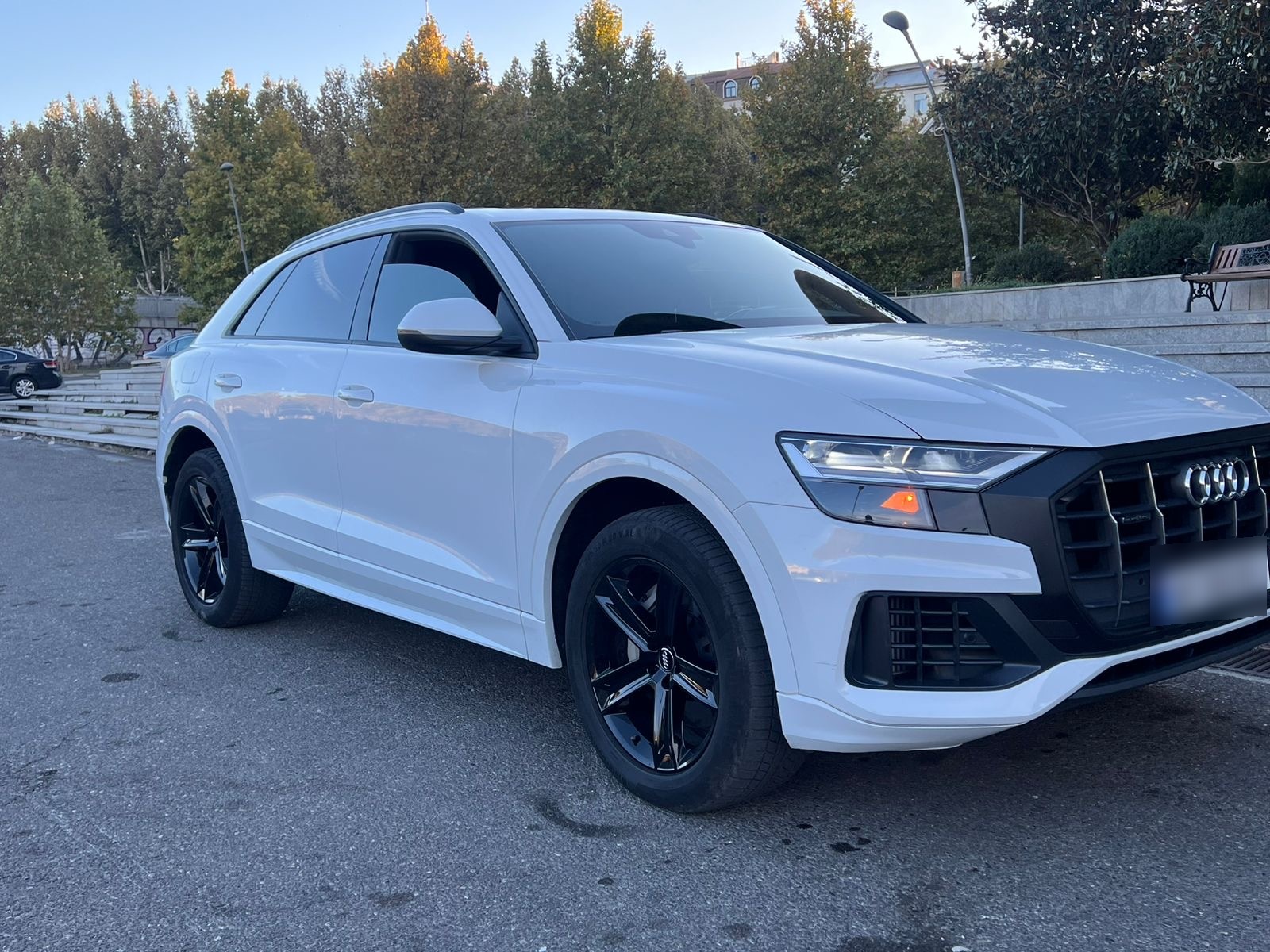 Audi Q8 - фото 2