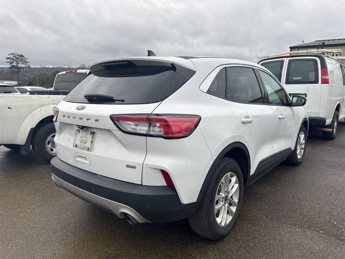 Ford Escape - фото 3