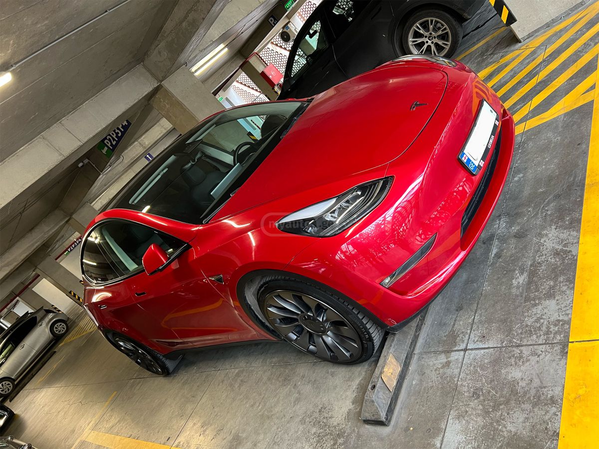 Tesla performance — миниатюра 2