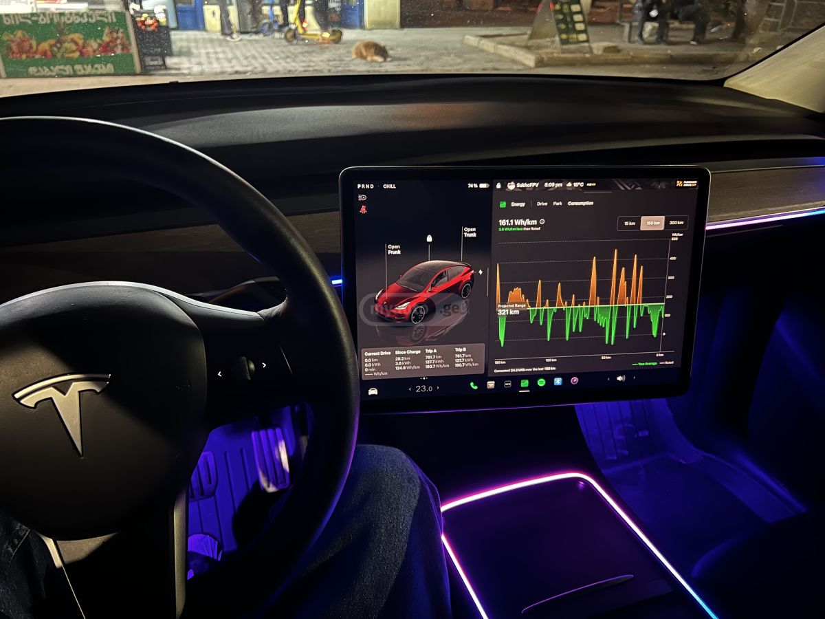 Tesla performance — миниатюра 6