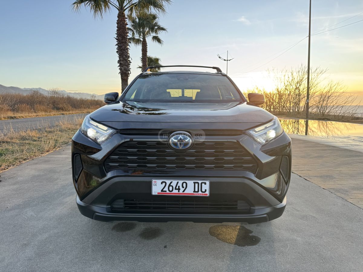 Toyota xle — миниатюра 2