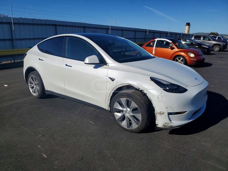 Tesla Model Y - фото 1