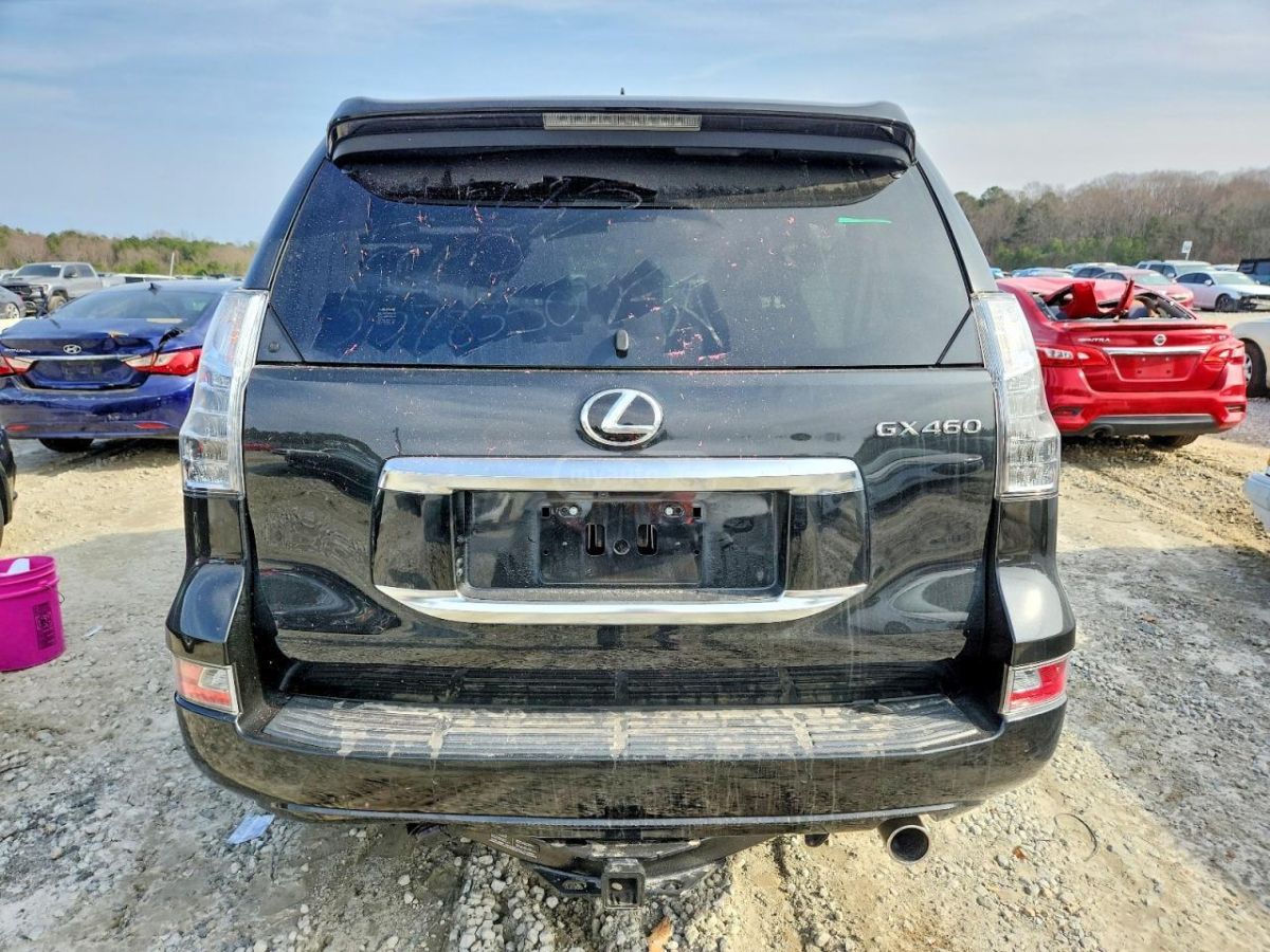 Lexus GX 460 2023 — миниатюра 6