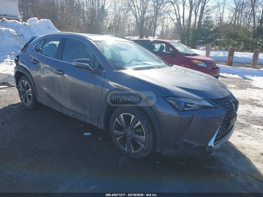 Lexus UX 250 h - фото 13