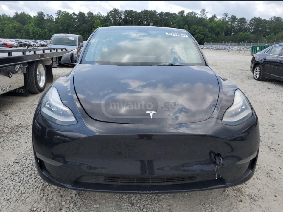 Tesla Model Y - фото 1