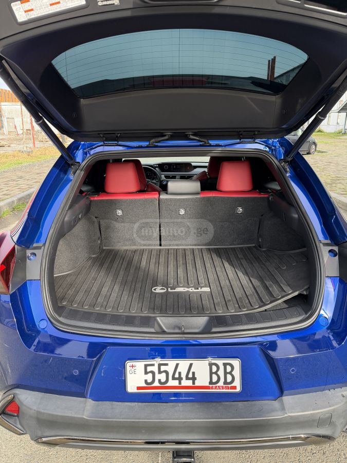 Lexus UX 250 h - фото 11