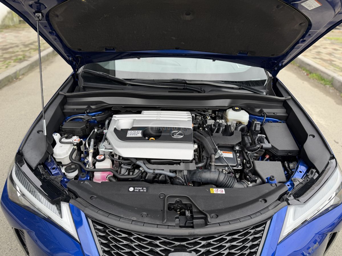 Lexus UX 250 h - фото 12