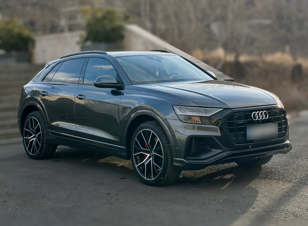 AudiQ82019