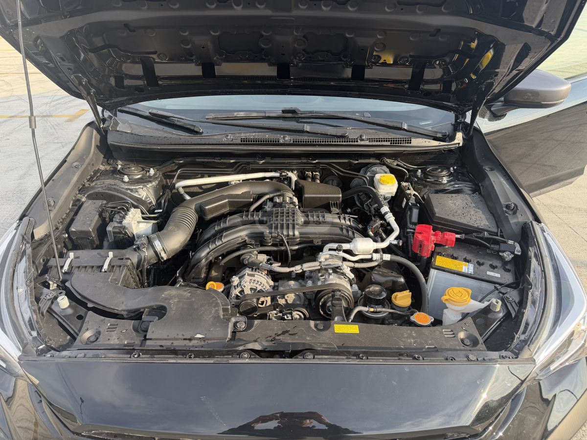 Subaru Crosstrek - фото 12