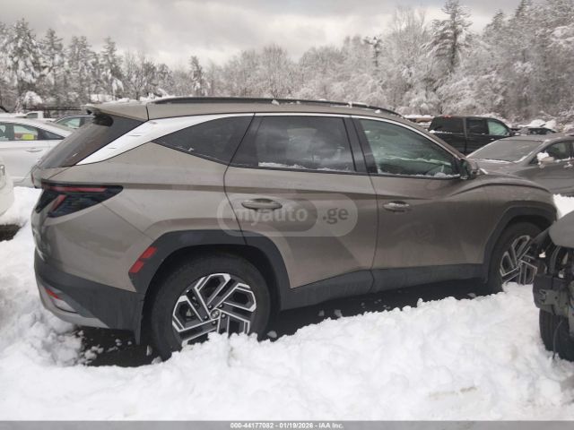 Hyundai LIMITED — миниатюра 12