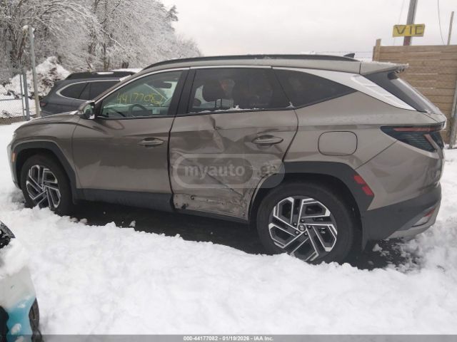 Hyundai LIMITED — миниатюра 13