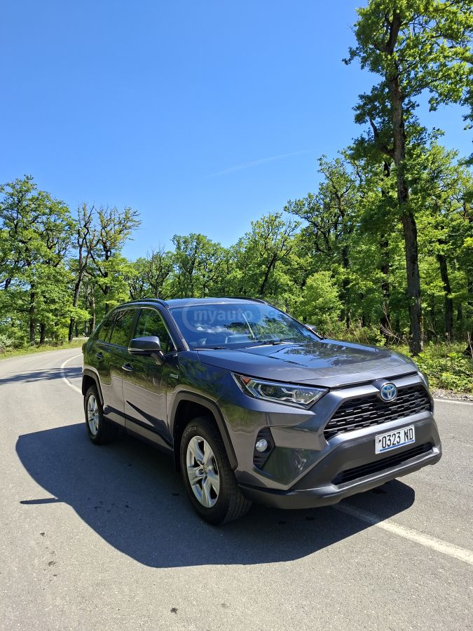 Toyota RAV 4 - фото 1