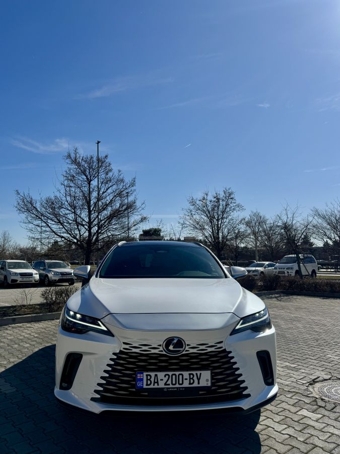 Lexus Hybrid premium plus — миниатюра 2