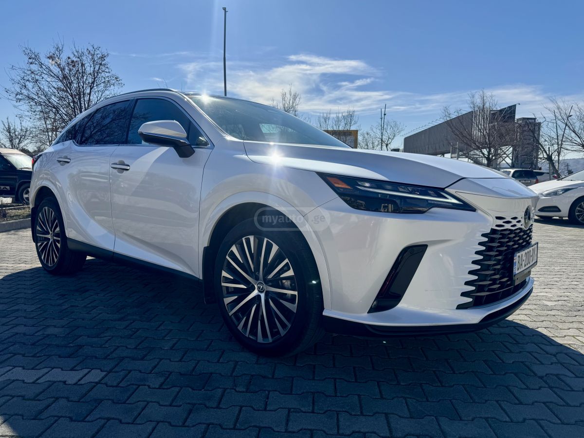 Lexus Hybrid premium plus — миниатюра 3