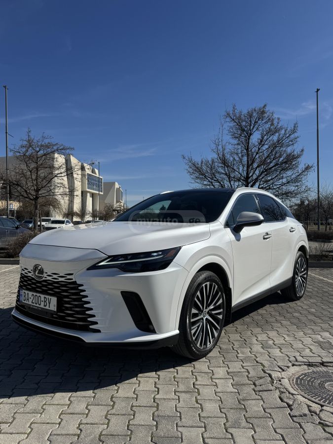 Lexus Hybrid premium plus — миниатюра 7