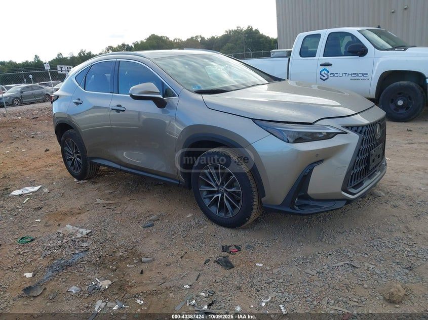 Lexus NX 350 - фото 1