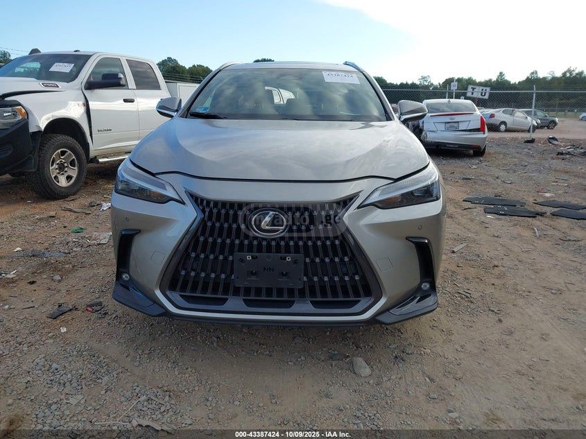 Lexus NX 350 - фото 11