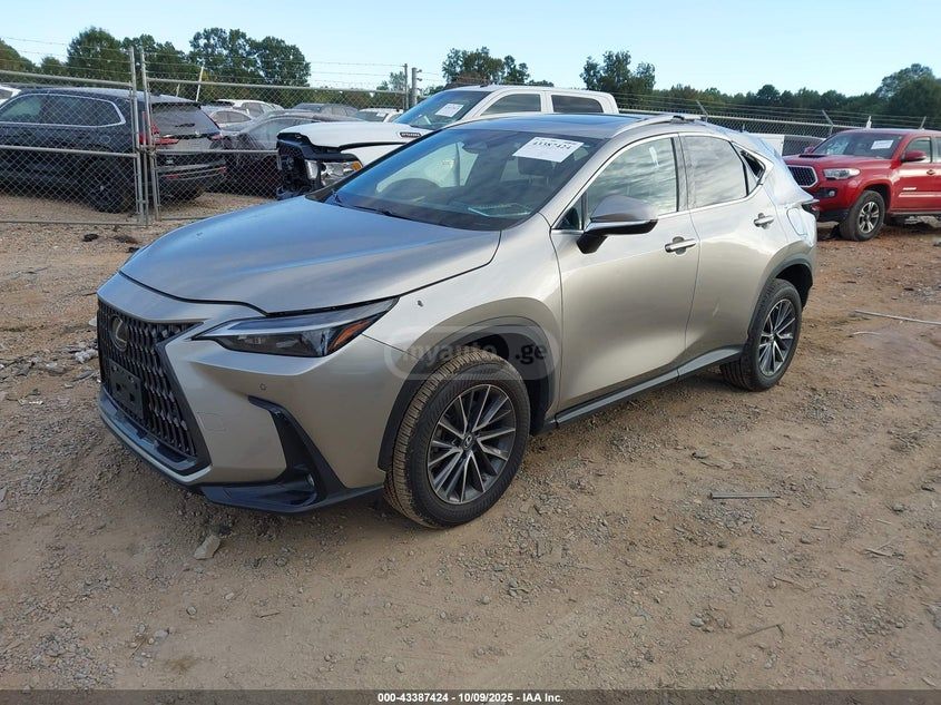 Lexus NX 350 - фото 2