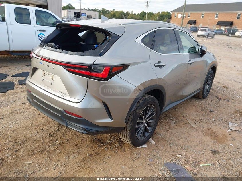 Lexus NX 350 - фото 4