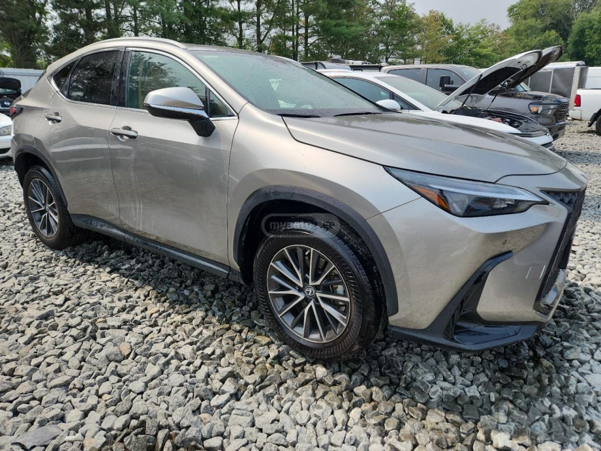 Lexus NX 200 Base 4dr All-wheel Drive Autom 2023 — миниатюра 1