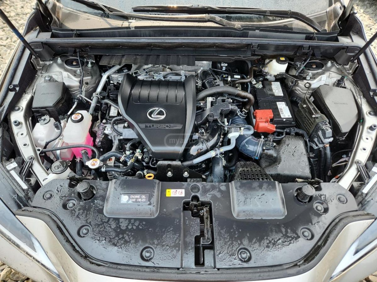 Lexus NX 200 Base 4dr All-wheel Drive Autom 2023 — миниатюра 10