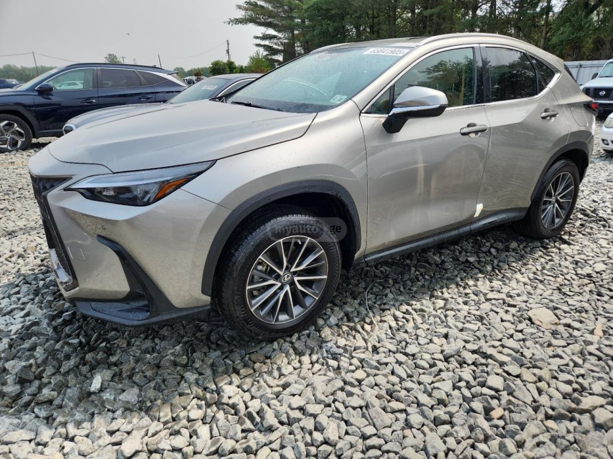 Lexus NX 200 Base 4dr All-wheel Drive Autom 2023 — миниатюра 2