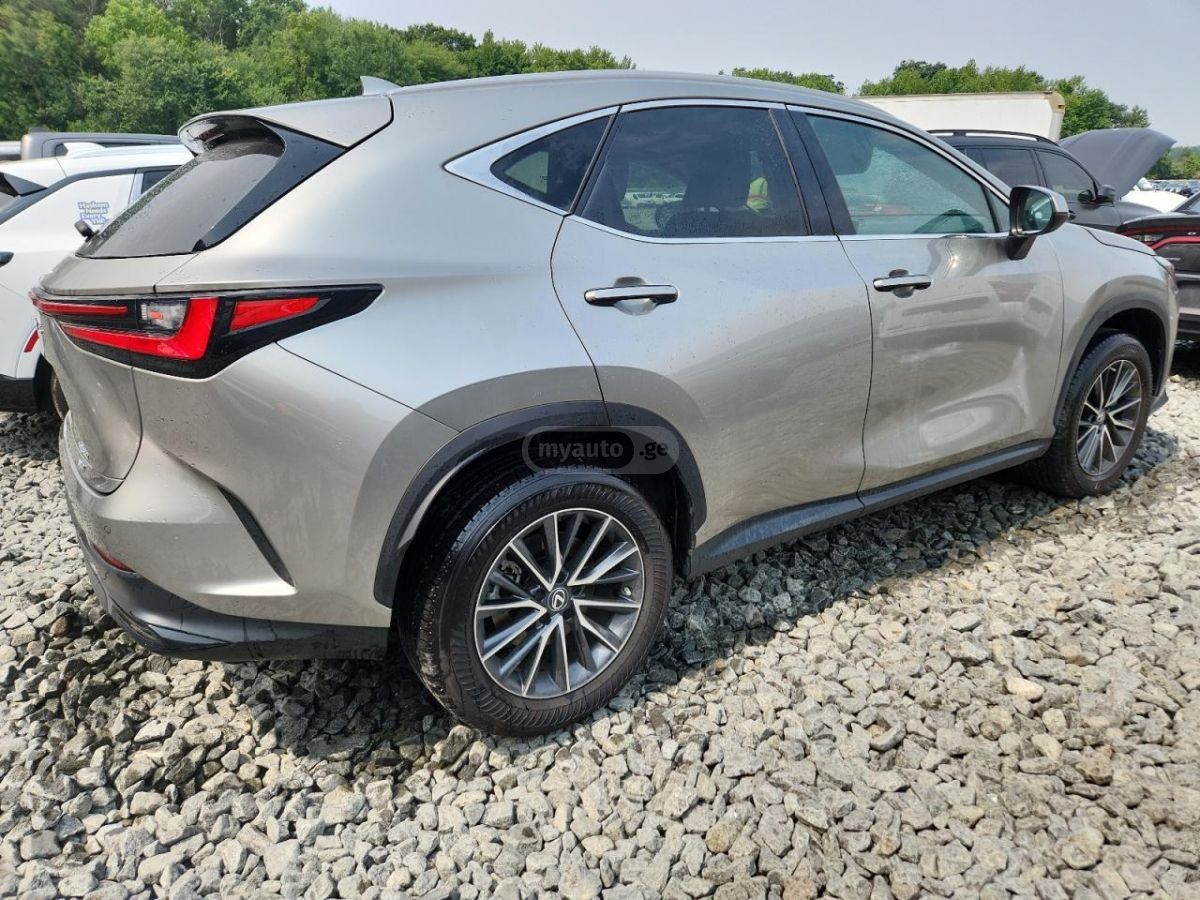 Lexus NX 200 Base 4dr All-wheel Drive Autom 2023 — миниатюра 3