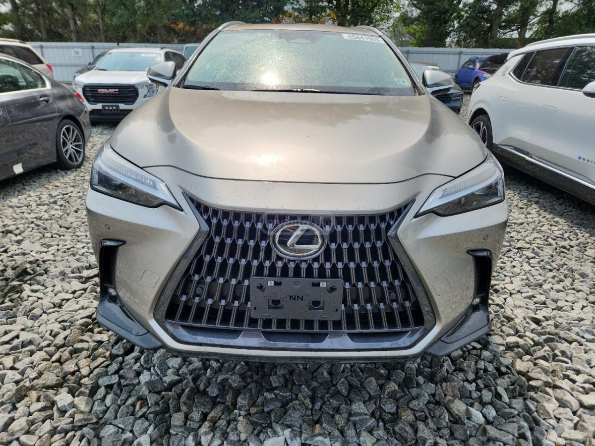 Lexus NX 200 Base 4dr All-wheel Drive Autom 2023 — миниатюра 4