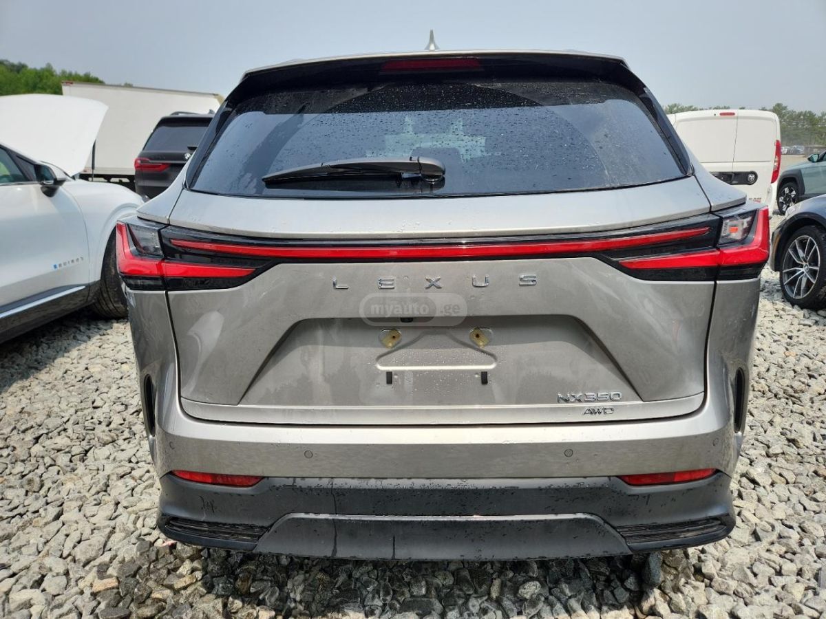 Lexus NX 200 Base 4dr All-wheel Drive Autom 2023 — миниатюра 5